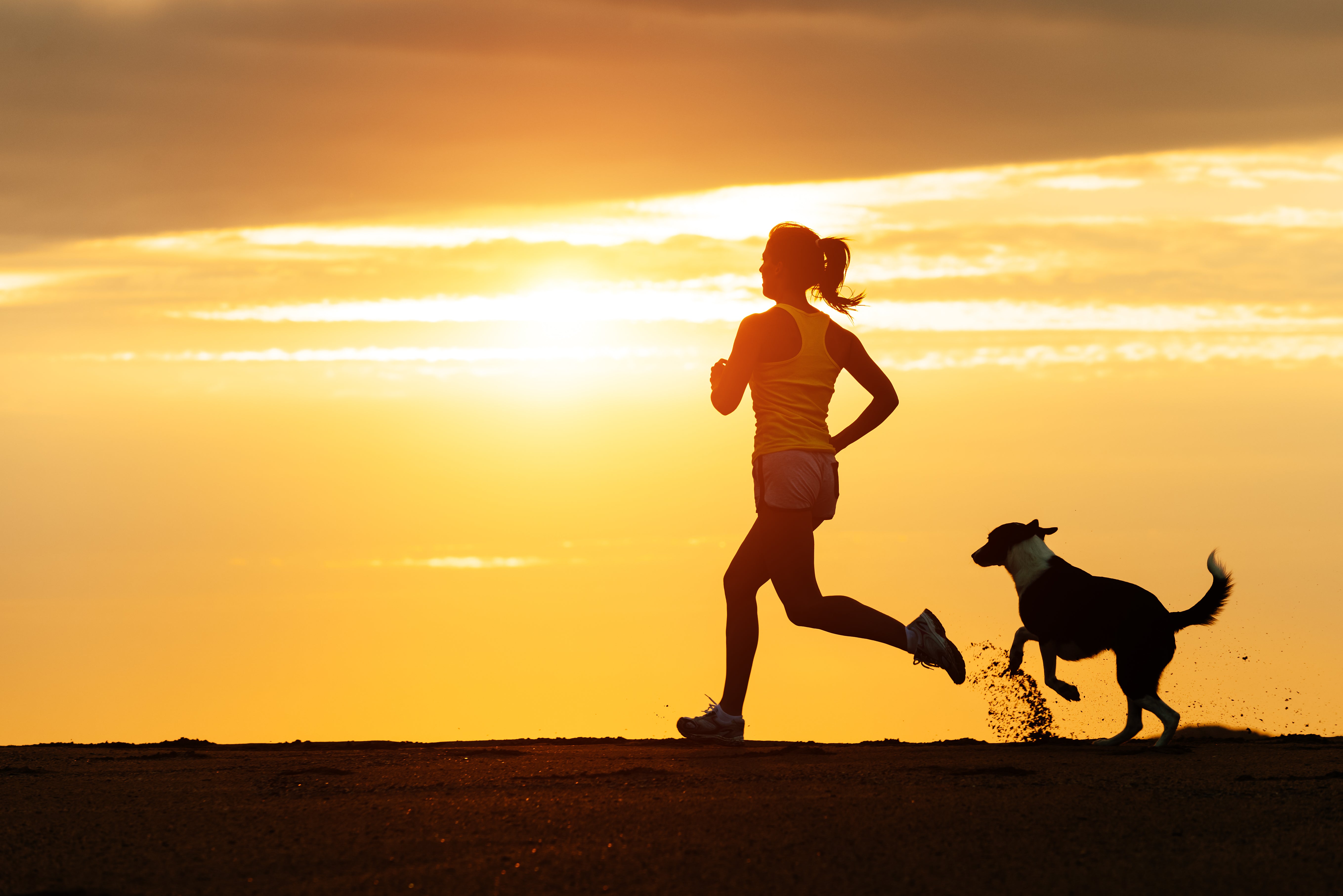 Keeping Tails Wagging: The Benefits of Regular Exercise for Pets