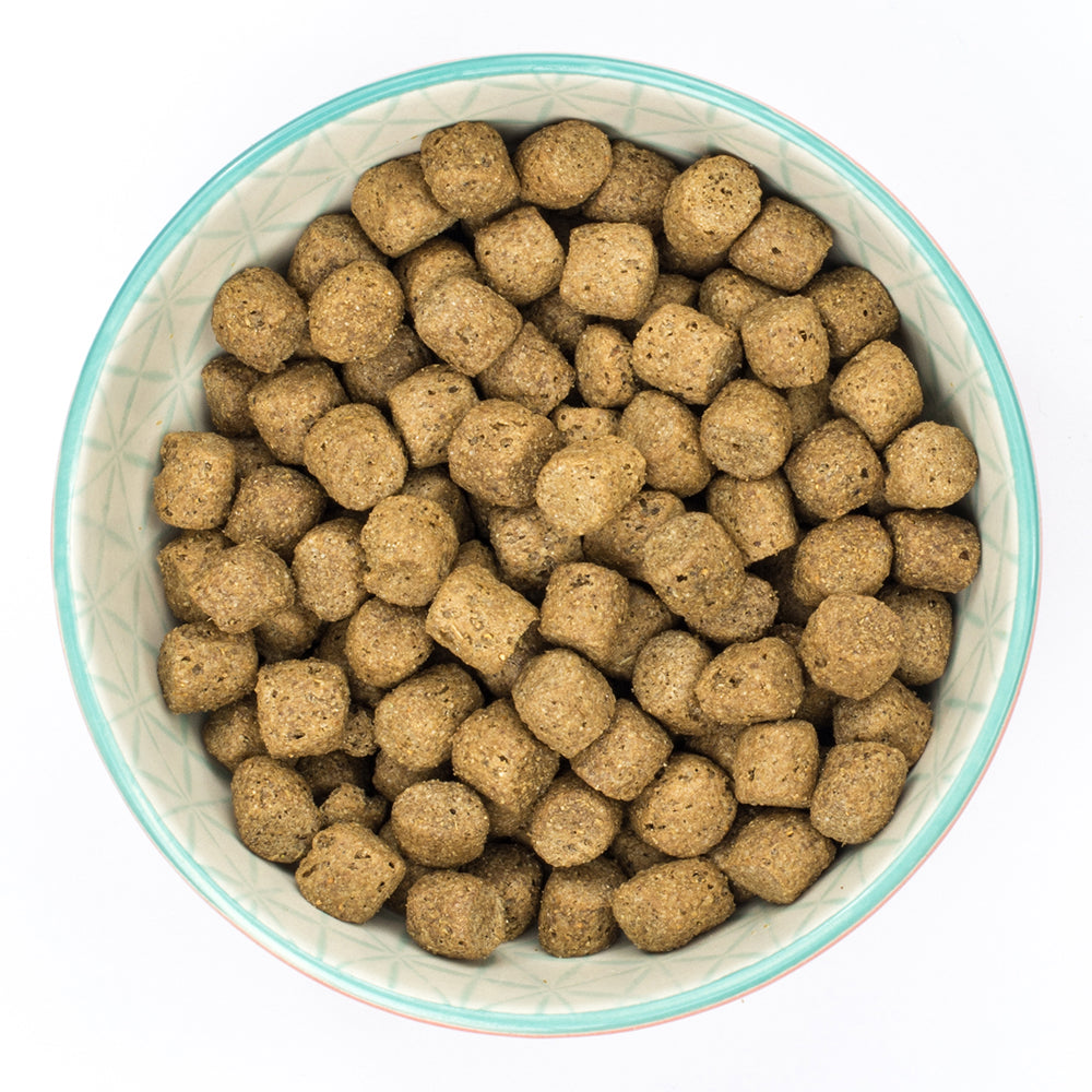 Burns Alert Chicken & Brown Rice Dry Complete kibble Burns
