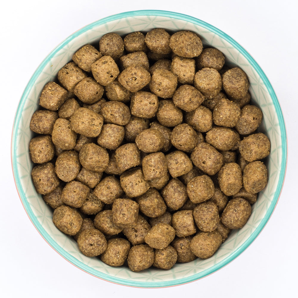 Burns Sensitive Duck & Brown Rice Dry Complete kibble Burns