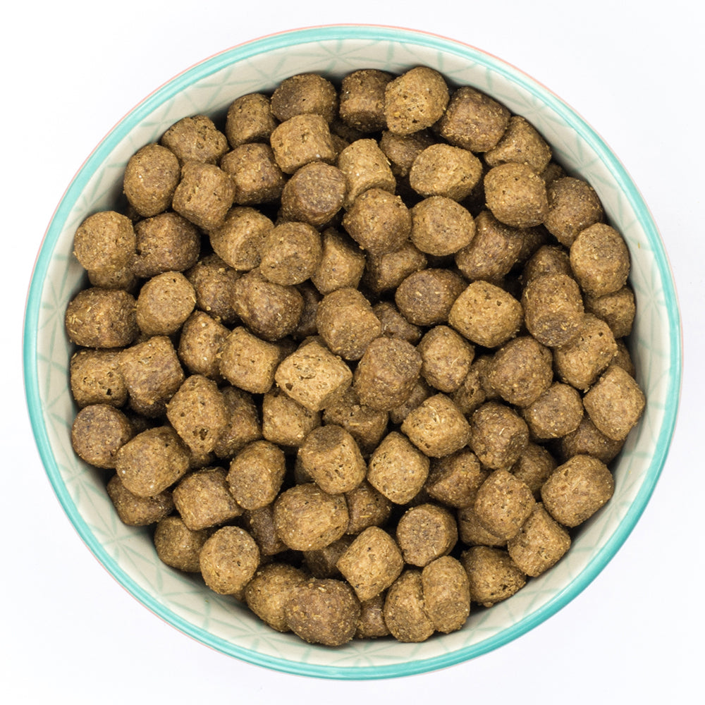 Burns Puppy Original Chicken & Rice Dry Complete kibble Burns