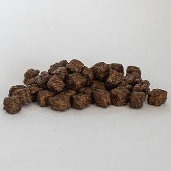Skinners Field & Trail Salmon & Rice 15kg Dog Food Skinners