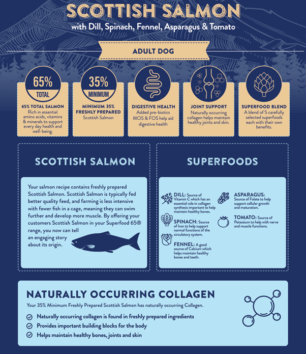 Superfood 65 Adult Dog Scottish Salmon Dry Complete kibble the Pet MARKET