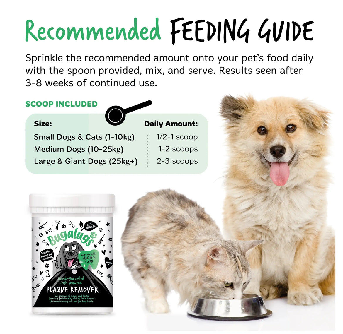 Bugalugs Plaque Remover (70g) Bugalugs