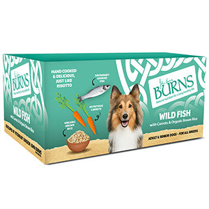 Burns Wild Fish Carrots and Organic Brown Rice Wet Dog Food Trays Wet Food Burns