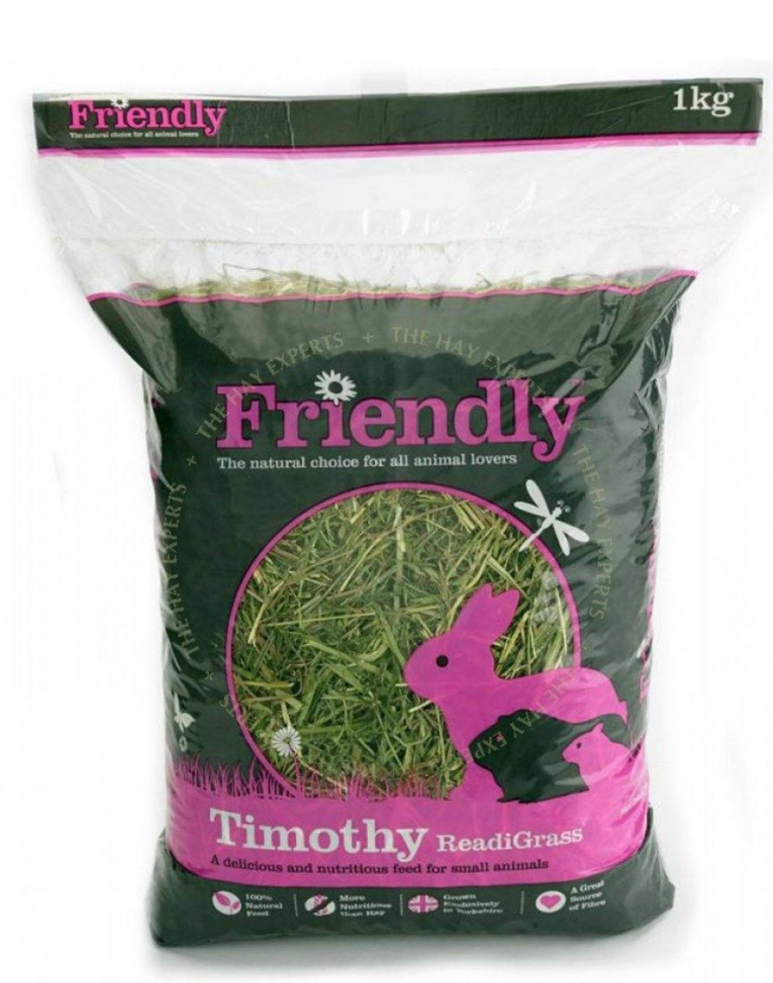 Friendly Timothy Readigrass Friendly