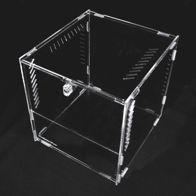 20cm Acrylic Cube Terrarium