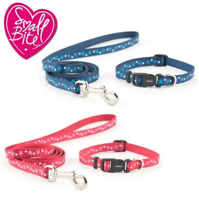 SMALL BITE STARS COLLAR LEAD SET
