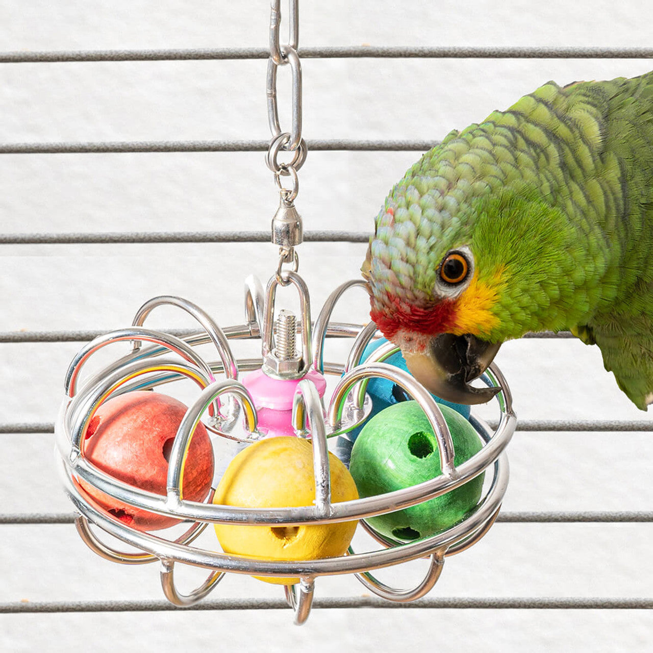 bird toys online pet shop