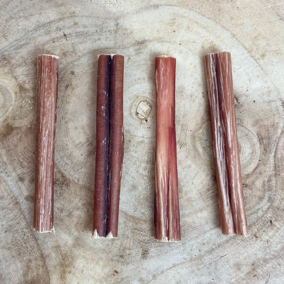 Bull Pizzle Classic Small 12cm