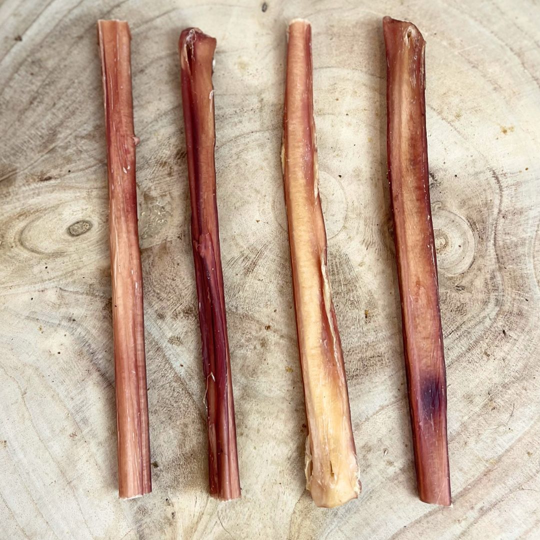 Bull Pizzle Classic Medium 24cm