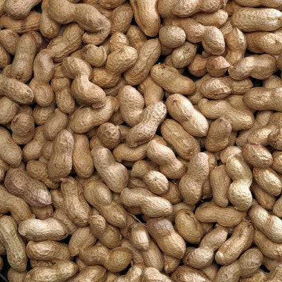 Monkey nuts (nuts in shell) Bird feed Bucktons