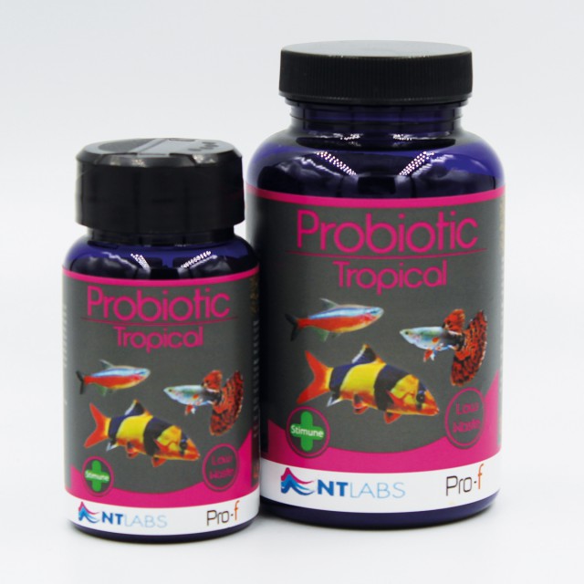 NT Labs Pro-F Probiotic Tropical Fish Food NT Labs