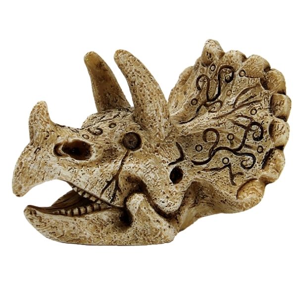SuperFish Triceratops Skull Ornament Aquarium Ornament SuperFish Small