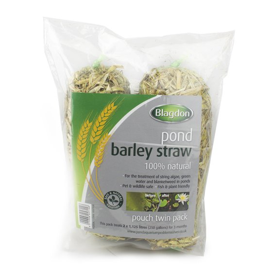 Blagdon Barley Straw Bale Pond Treatment Blagdon