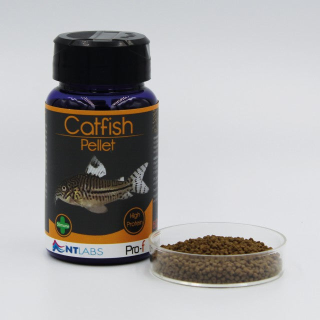 NT Labs Pro-F Catfish Pellets Catfish Pellets NT Labs