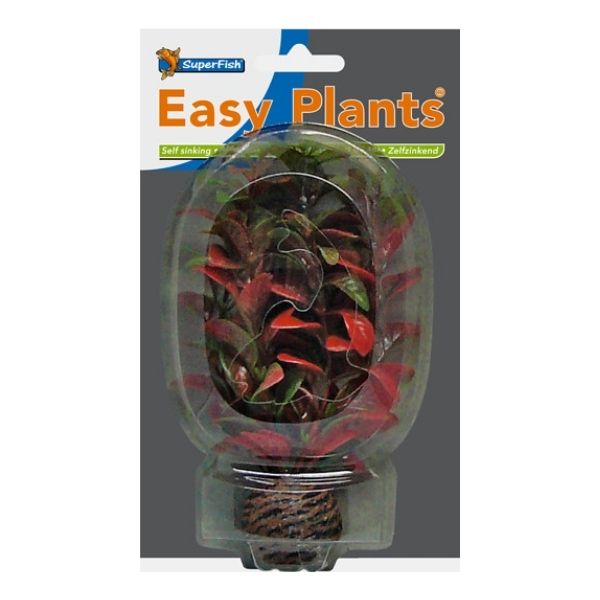 SuperFish Easy Plants Foreground Aquarium Plants SuperFish 7