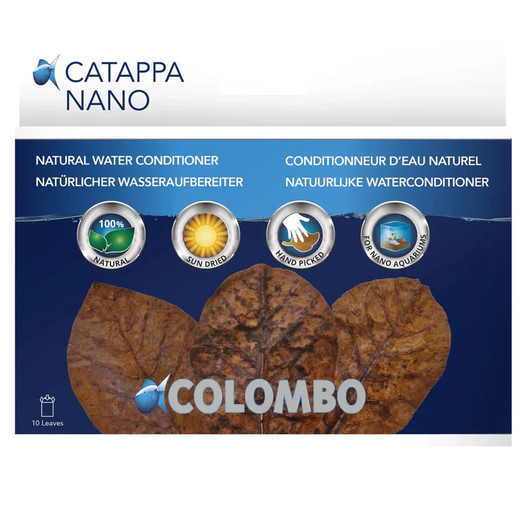 Colombo Catappa Leaves Catappa Colombo Nano