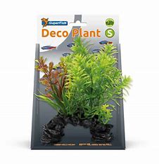 SuperFish Deco Plants Small Aquarium Plants SuperFish Hottonia