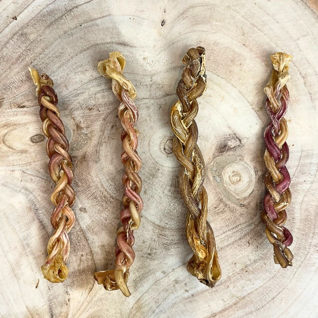 Lamb Pizzle Braided - 15cm Nova