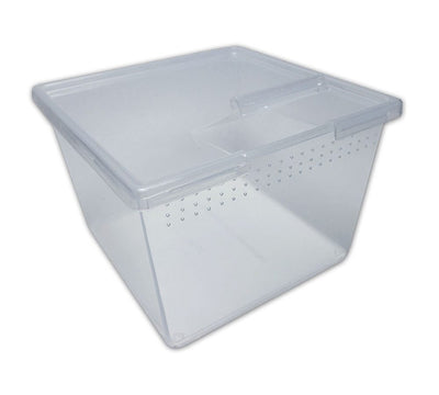 PL Square Container w/Flip Lid 7oz