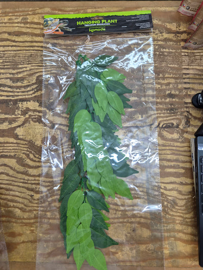 Komodo banyan leaf hanging plant 40cm