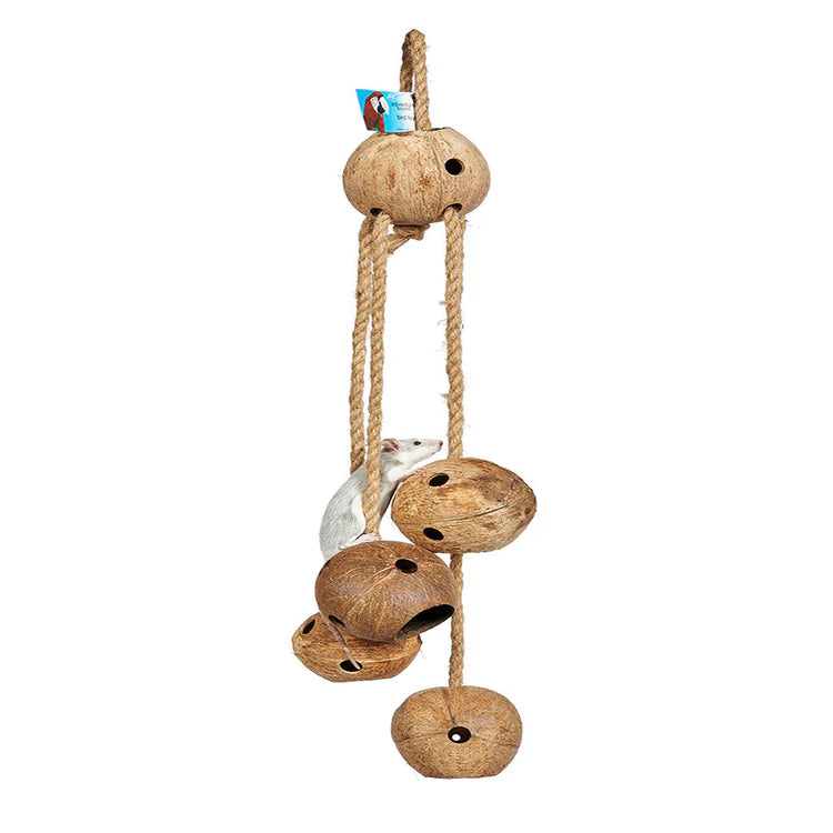 Big Coco Balls (4957) Toy Sky