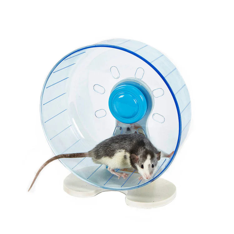 Rodent Wheel Large (7919) Small animal toy Sky