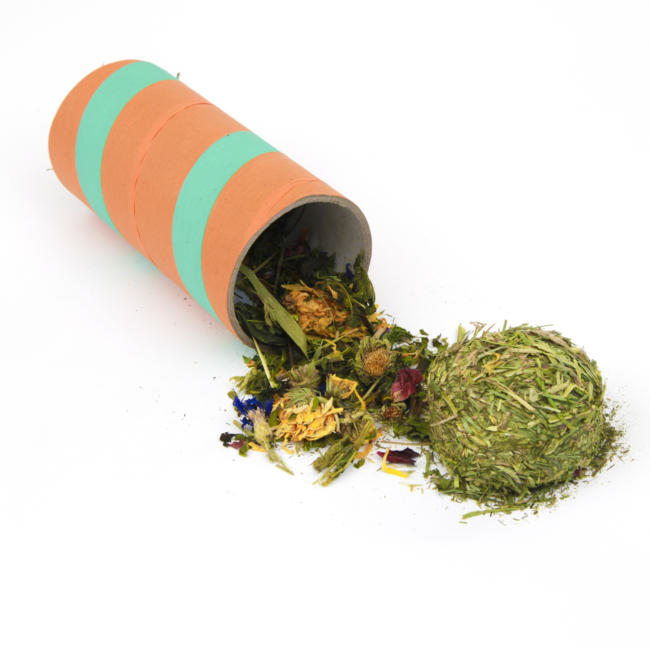 Chewb'olicious Small animal treat Nature's Own