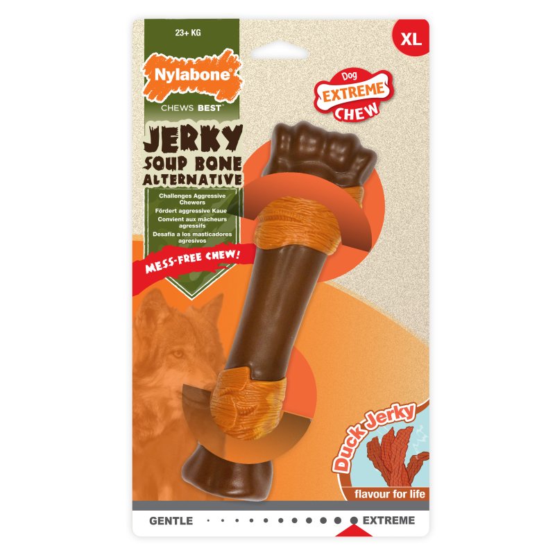 Jerky soup Bone Nylabone