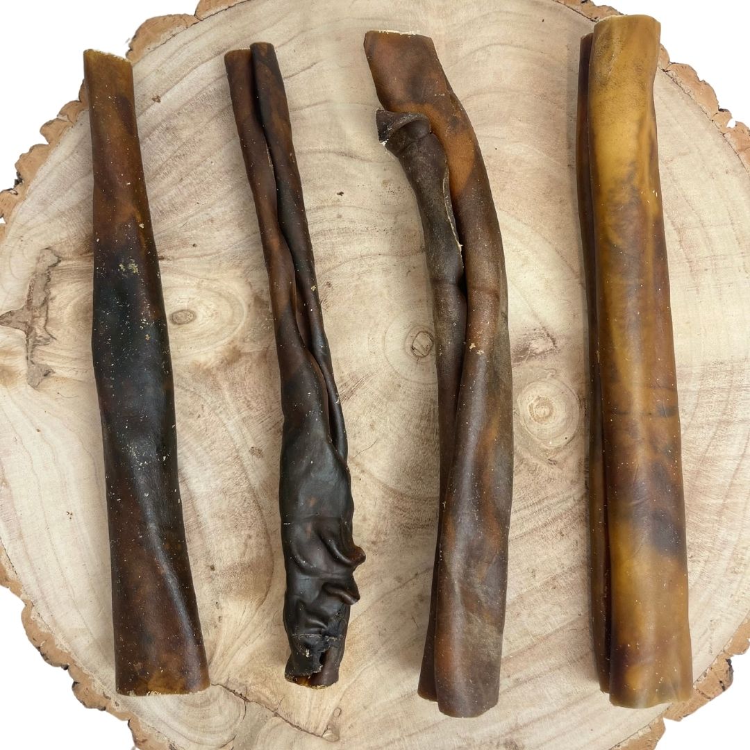 Camel Skin Roll - 30cm Dog Treat Nova