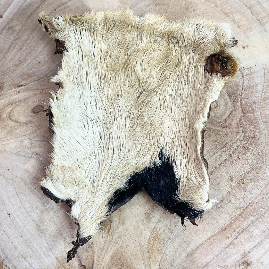 XL Hairy Beef Skin - Single Dog Treat Nova