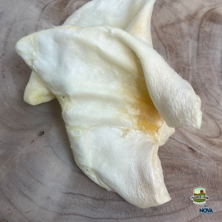 White Puffed Pig Ears - Single Dog Treat Nova