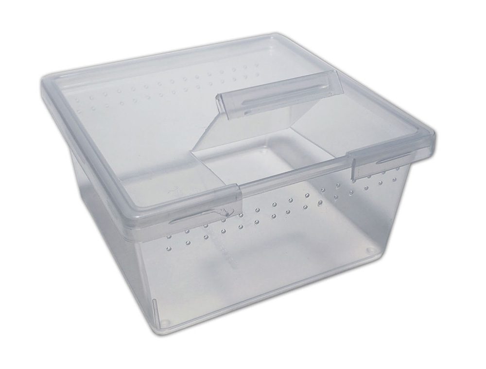 Braplast Square Container w/Flip Lid 7oz Reptile Housing Peregrine Livefoods