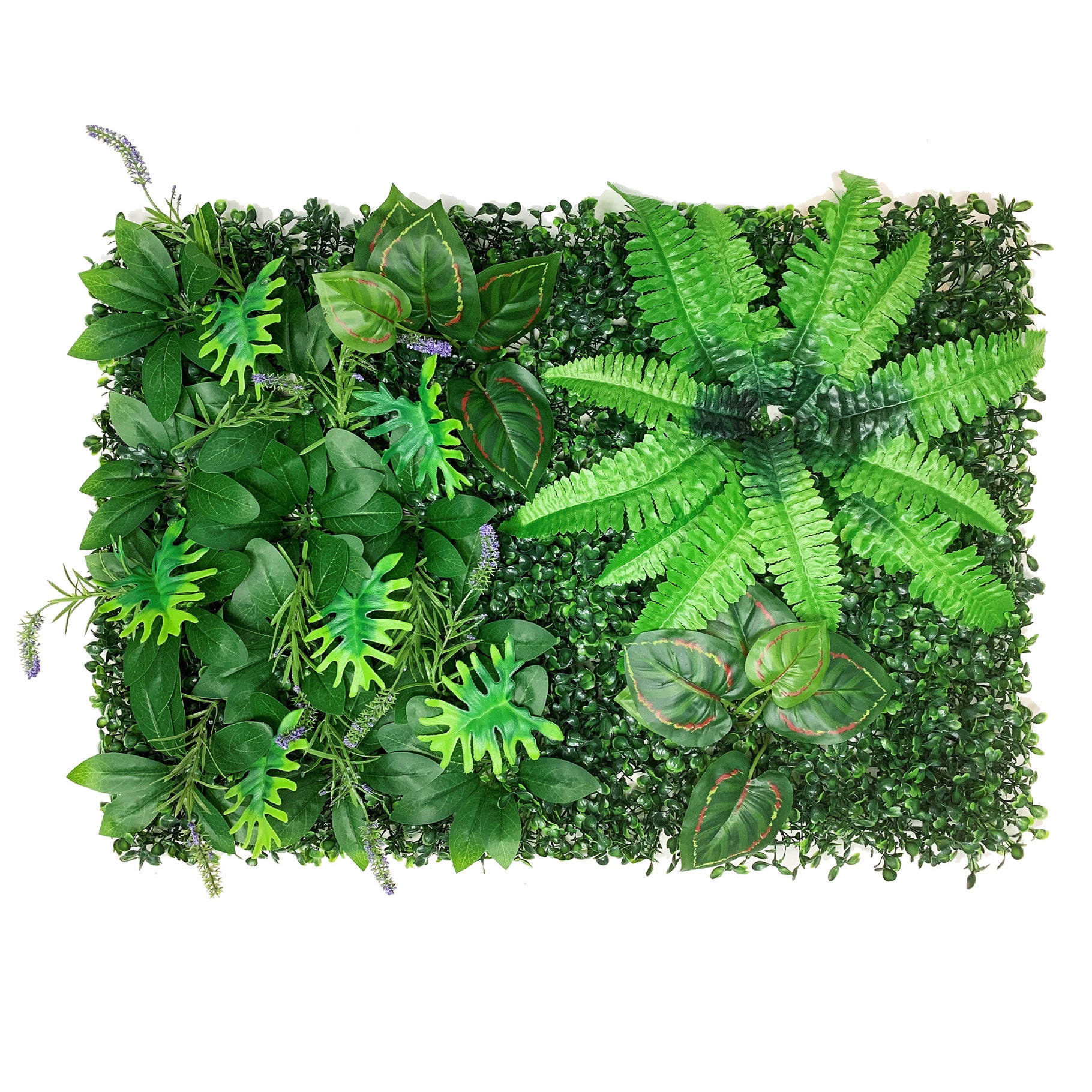 Betta Terra Sword Fern Garden Mat 40cm x 60cm Reptile Decor Betta