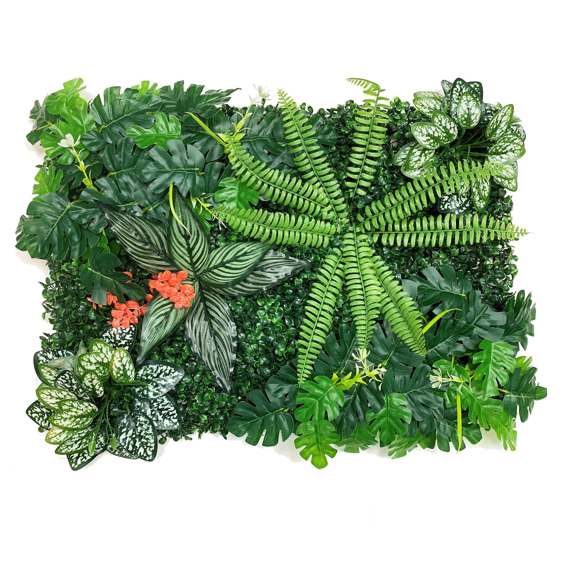 Betta Terra Boston Fern Garden Mat 40cm x 60cm Reptile Decor Betta