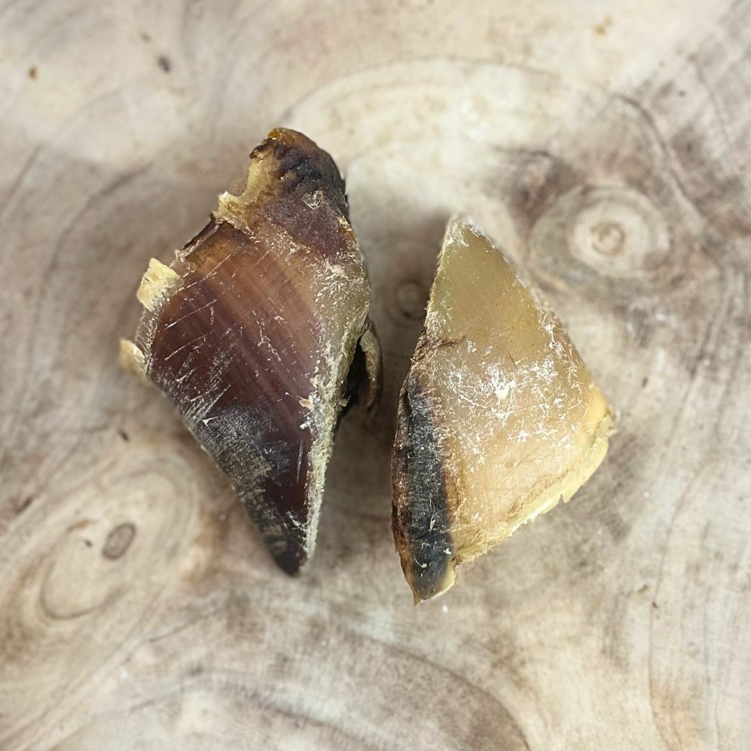 Hooves Unfilled - Single Dog Treat Nova