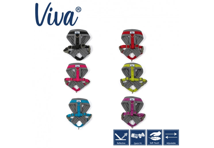 VIVA PADDED HARNESS Dog accessories Ancol
