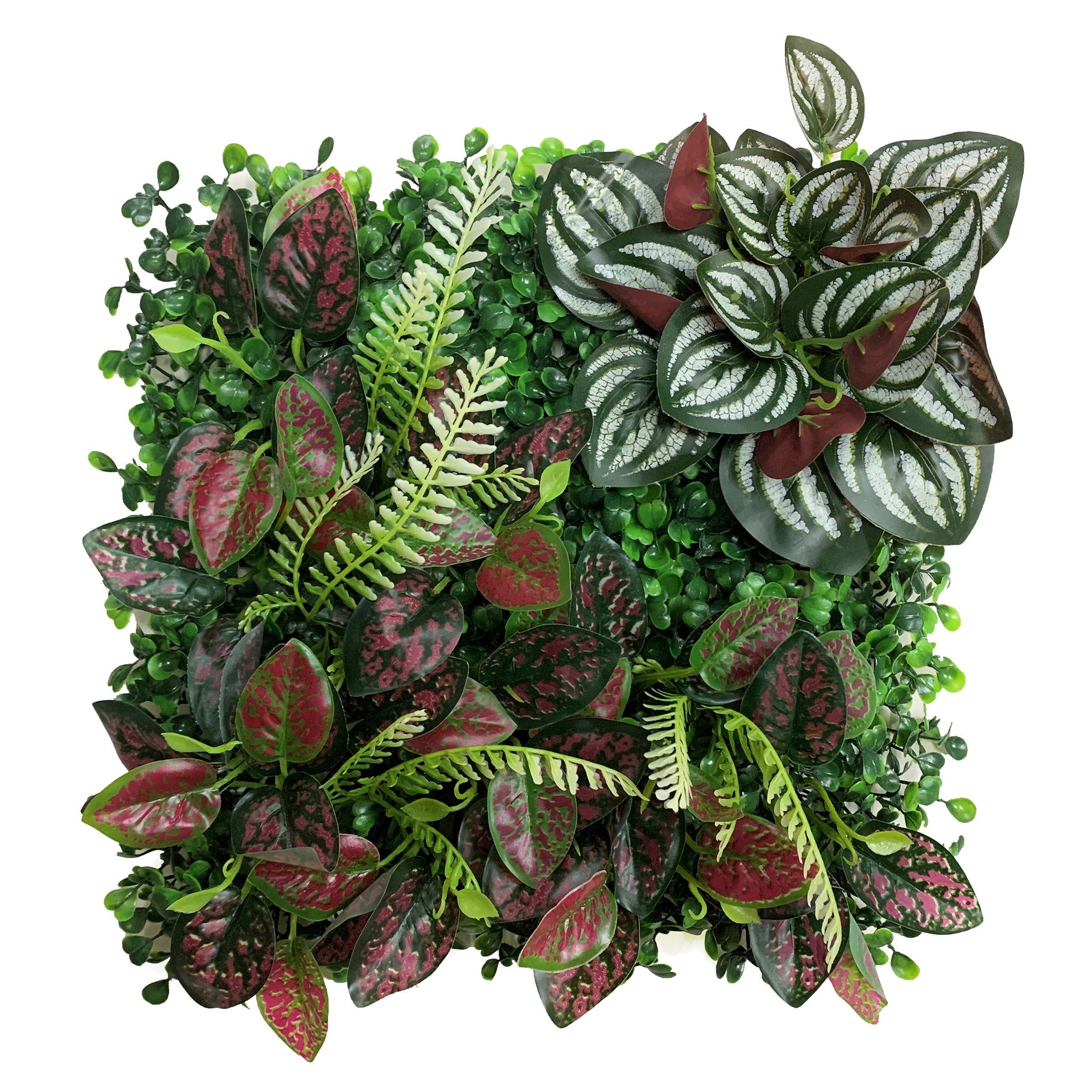 Betta Terra Polka Dot Plant Garden Mat 25 x 25cm Reptile Decor Betta