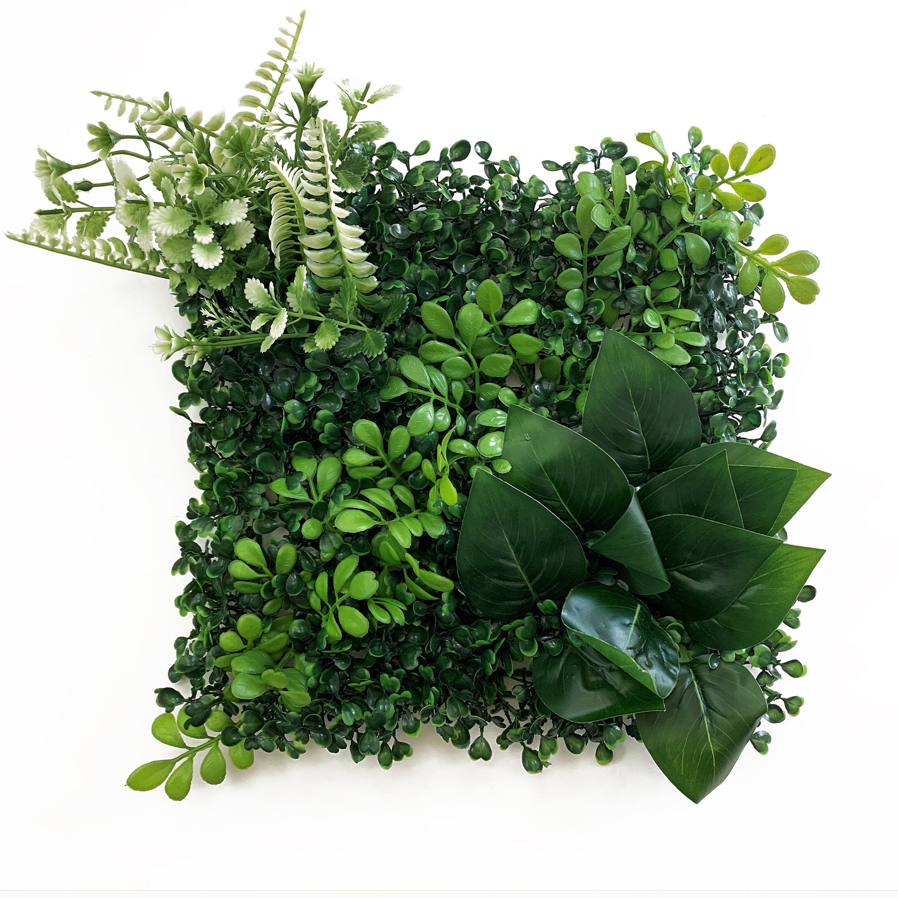 Betta Terra Fig Garden Mat 25 x 25cm Reptile Decor Betta