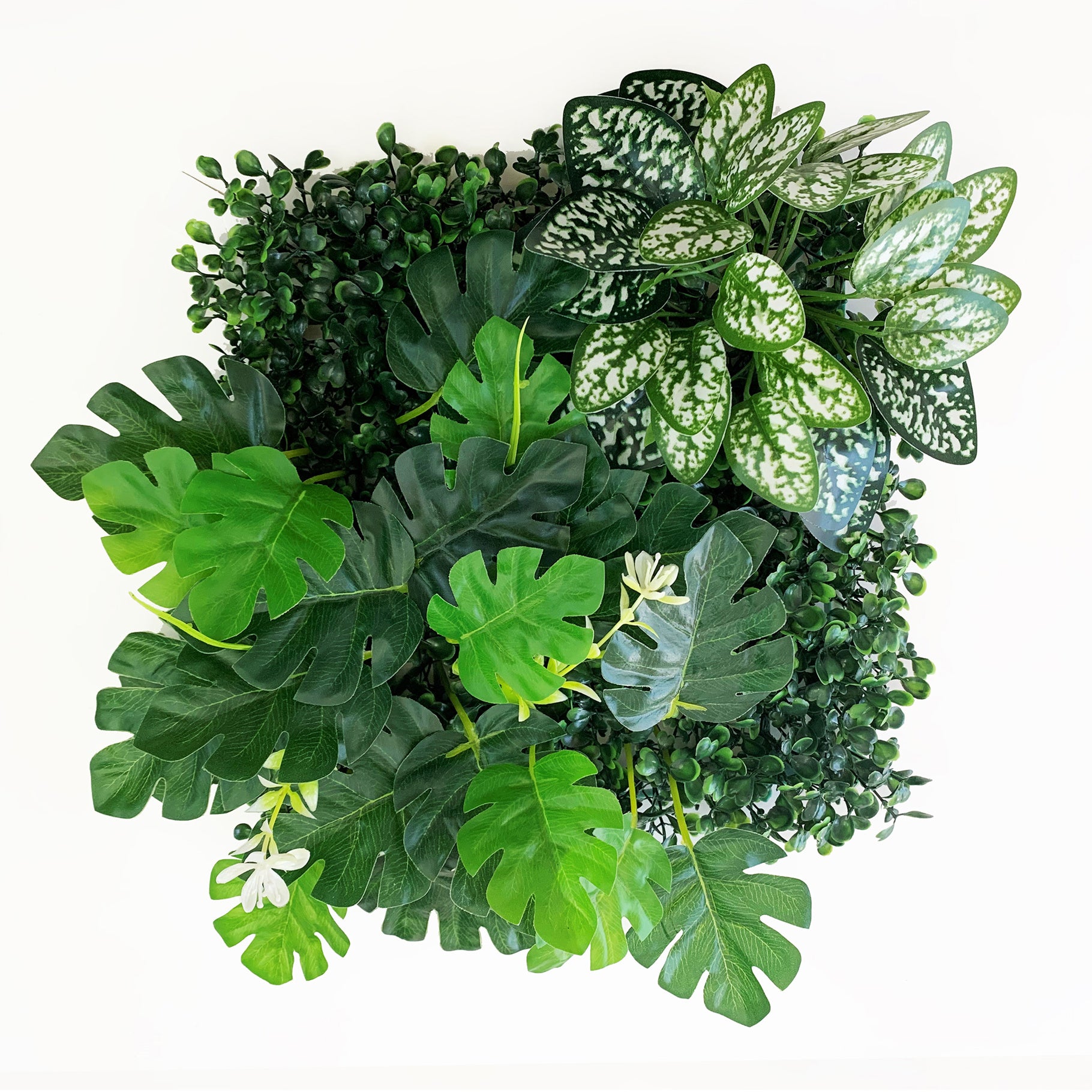 Betta Terra Monstera Plant Garden Mat 25 x 25cm Reptile Decor Betta