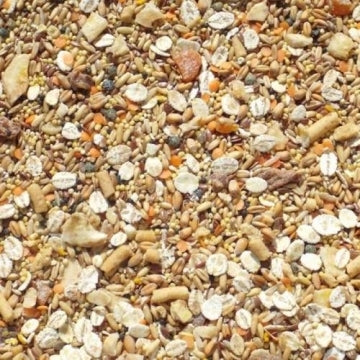 TidyMix Budgie Diet Bird feed Tidy Mix