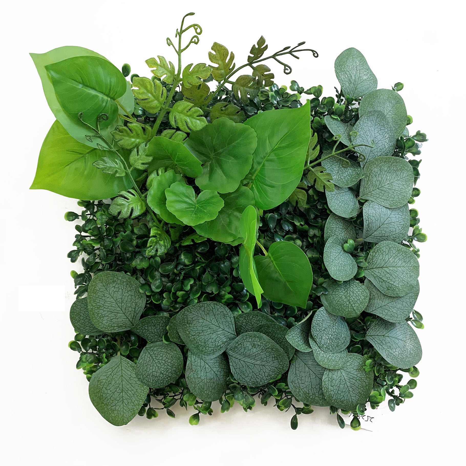 Betta Terra Eucalyptus Garden Mat 25cm x 25cm Reptile Decor Betta