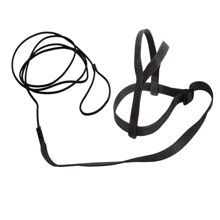 Avian Adventure Harness Bird Accessories Sky