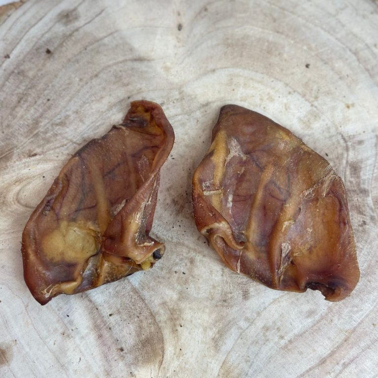 Large Pig Ears - Single Dog Treat Nova