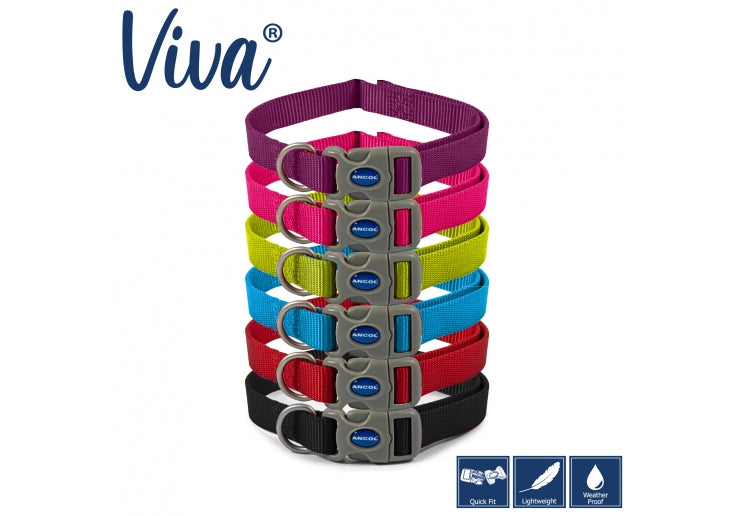 VIVA ADJUSTABLE COLLAR Dog accessories Ancol