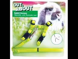 Rabbit Harness & Lead set
