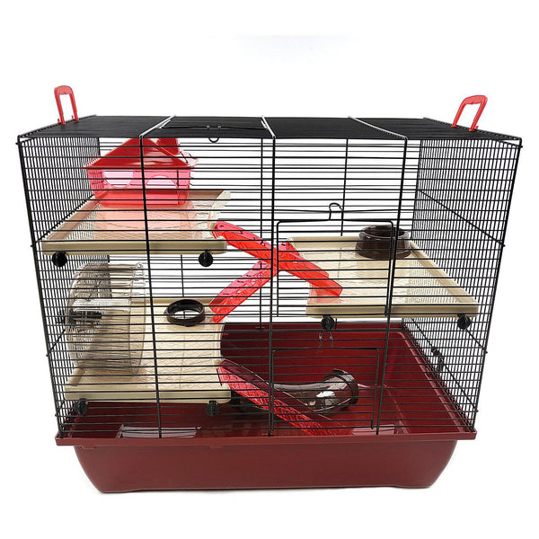How Much Does a Hamster Cost in the UK? Set-up Checklist