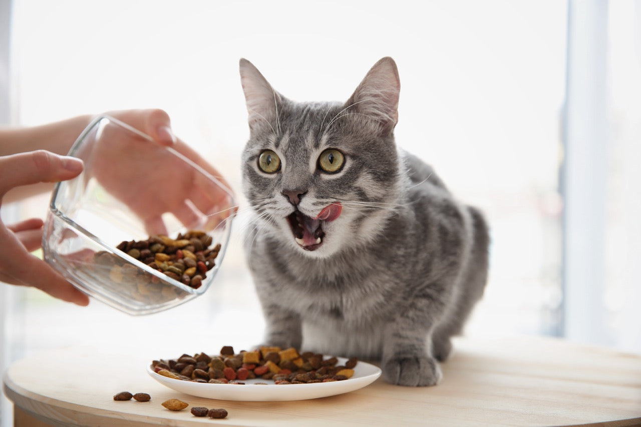 Whisker-Licking Goodness: 5 Fun DIY Treat Recipes Your Pet Will Love