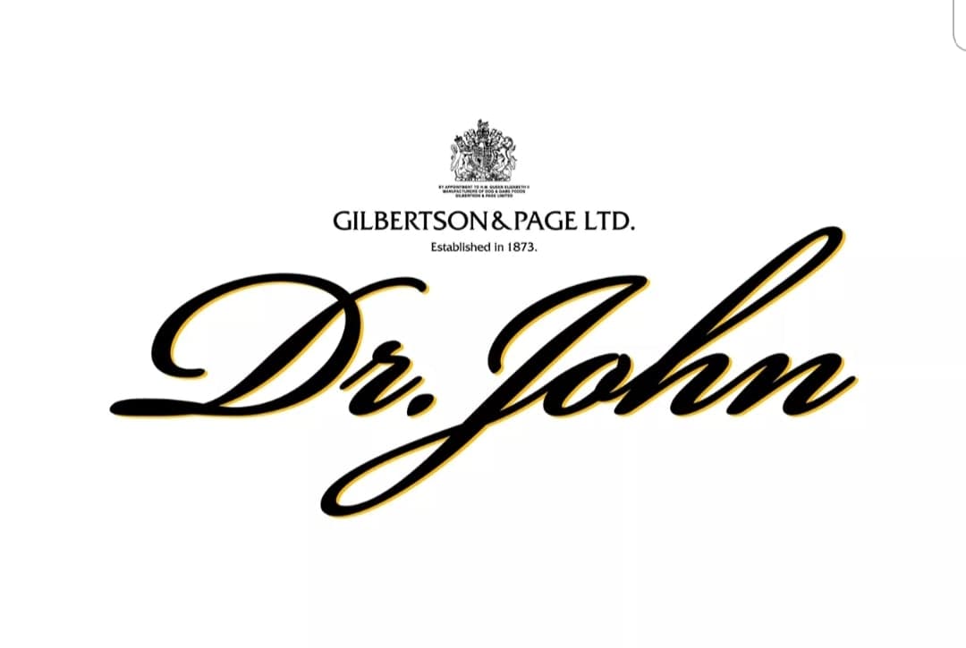 Dr John