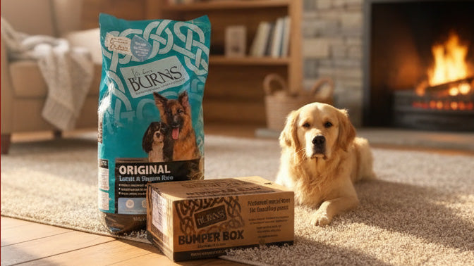 John Burns natural dog food PetMarket